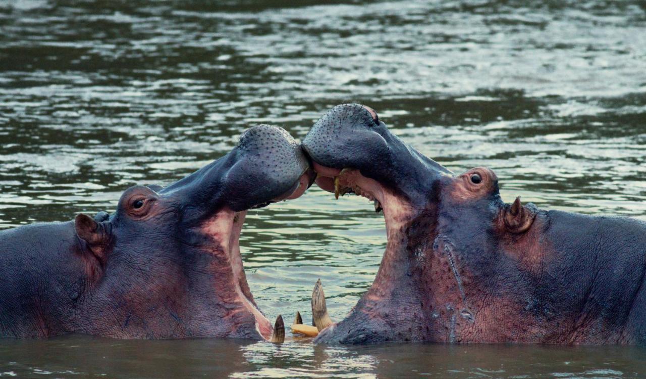 Ololo Safari Lodge Найроби Экстерьер фото